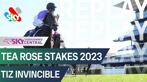 tea rose stakes|Tea Rose Stakes 2023 .